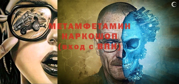 прущие грибы Наволоки