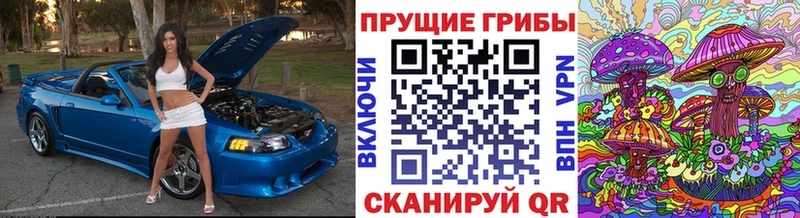 Галлюциногенные грибы Magic Shrooms Череповец