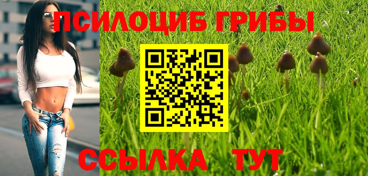 Череповец  Псилоцибиновые грибы мицелий  Вход с VPN 
